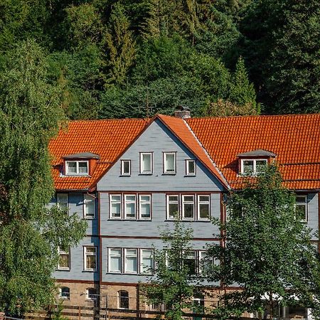 Fewo-Lerbachtal Osterode am Harz المظهر الخارجي الصورة