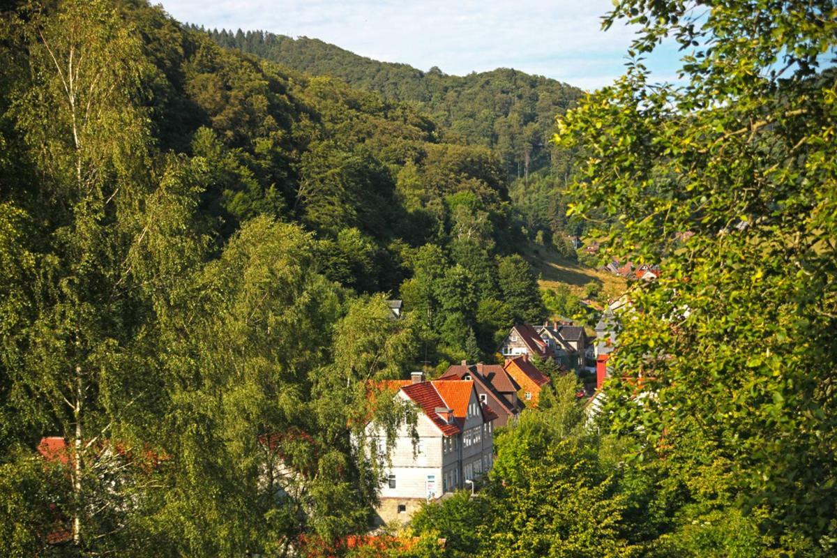 Fewo-Lerbachtal Osterode am Harz المظهر الخارجي الصورة