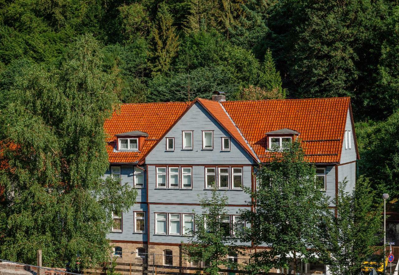 Fewo-Lerbachtal Osterode am Harz المظهر الخارجي الصورة