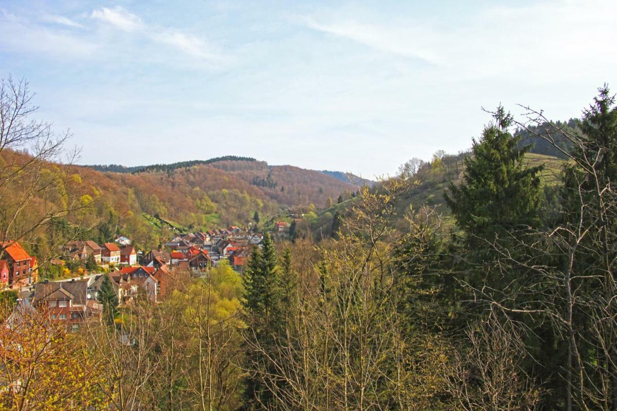 Fewo-Lerbachtal Osterode am Harz المظهر الخارجي الصورة
