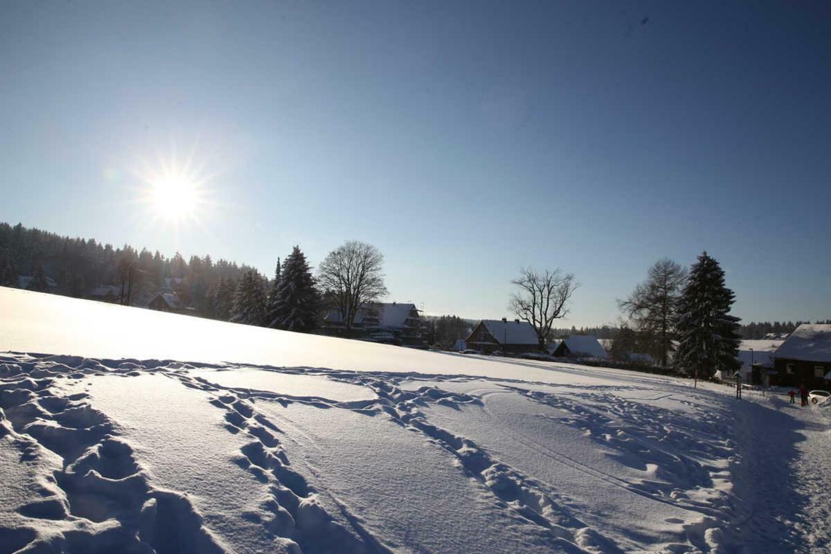 Fewo-Lerbachtal Osterode am Harz المظهر الخارجي الصورة